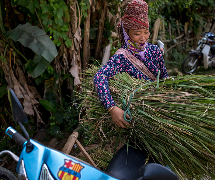 Woman carrying grasses